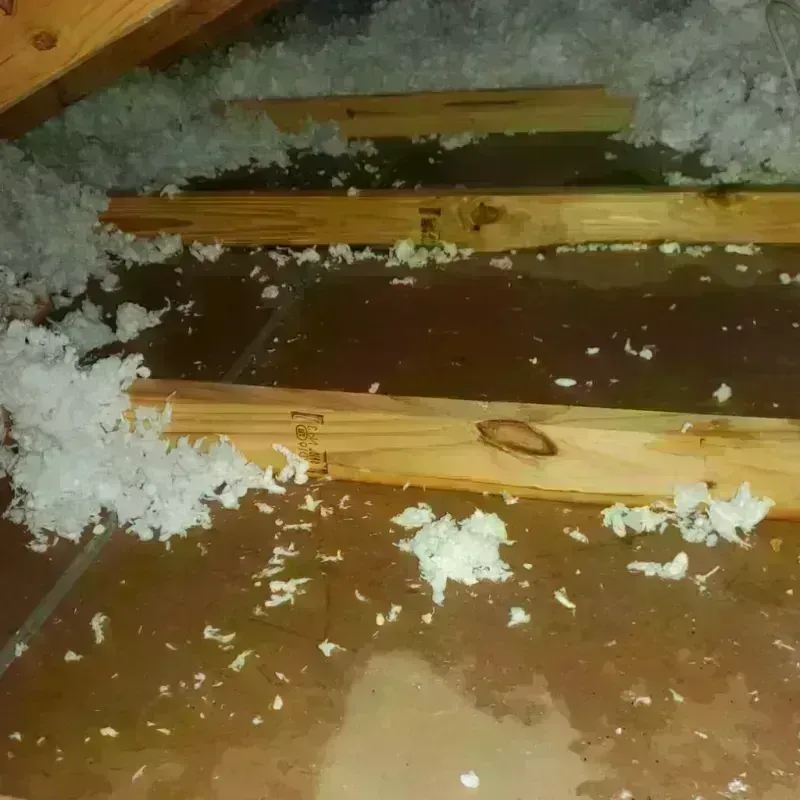 Attic Water Damage in Barnes County, ND