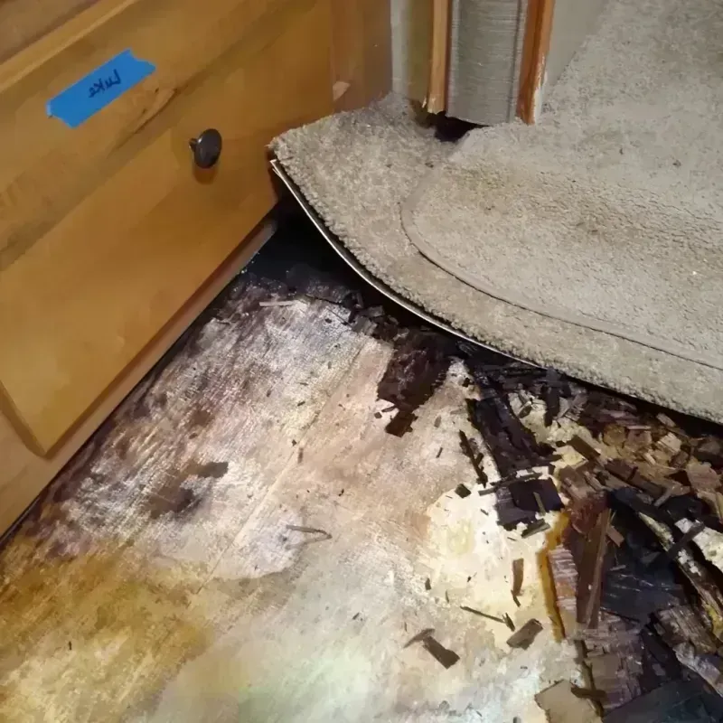 Wood Floor Water Damage in Barnes County, ND